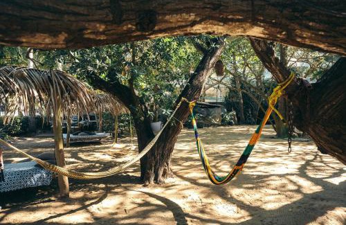 Sayulita Hotel | Junto al Rio Bungalows & Suites