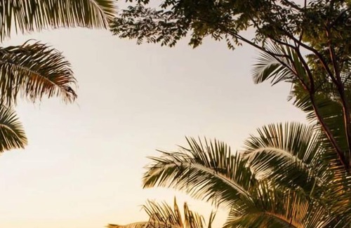 Lo de Marcos House | Just What You Were Looking For! Pools, Beachfront, Free Breakfast, Pets Allowed!