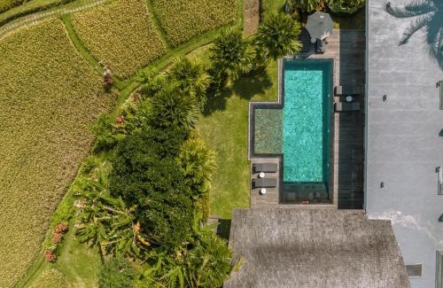 Tegallalang Resort | K Club Ubud
