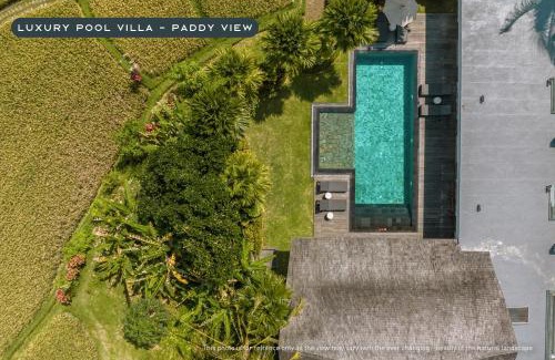 Tegallalang Resort | K Club Ubud