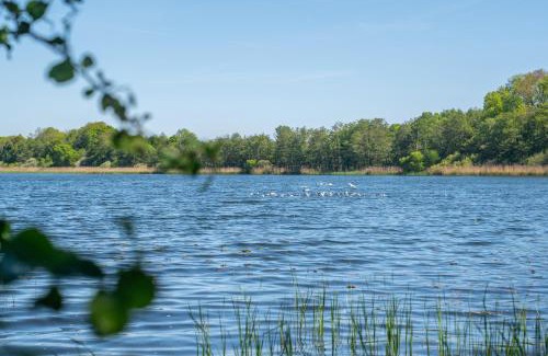 Kreuzkamp Apartment | K357 - Ferienwohnung - Moin Moin - Pönitz - Scharbeutz