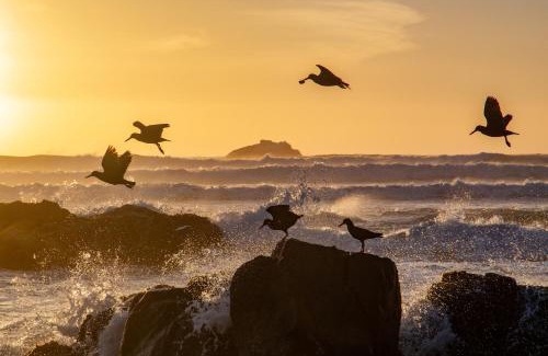 Yzerfontein Apartment | Kaalvoet Self-Catering Apartments