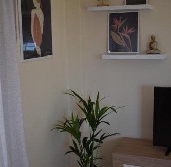 Petaloudes Apartment | Kallias House
