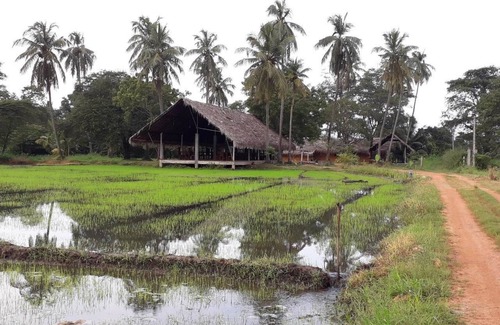 Polonnaruwa House | Kamatha Resort