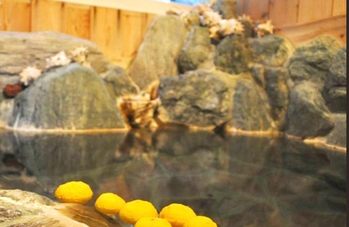 Higashiizu Hotel | Kamo-gun - Hotel / Vacation STAY 41224