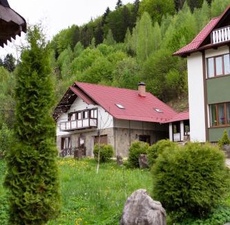 Yaremche House | Kamyanka