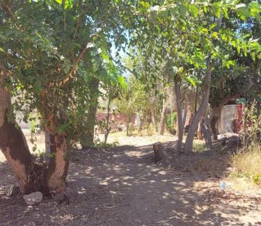Vicuna House | KANIBRU HOSPEDAJE