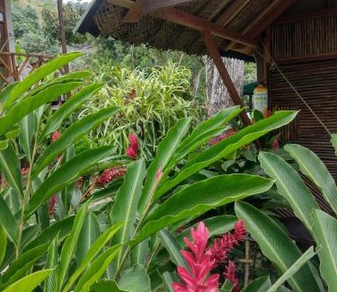 Canaveral Cabin | Kankui Lodge