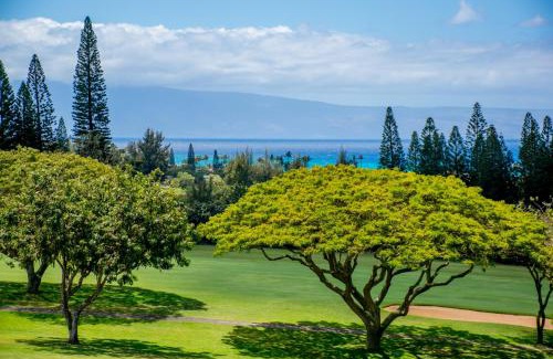 Kapalua House | Kapalua Golf Villa 16V 2