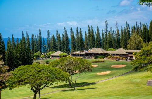 Kapalua House | Kapalua Golf Villa 16V 2