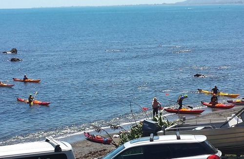 Pukerua Bay Bed & Breakfast | Kapiti Waves Beach Retreat