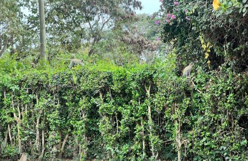 Arusha Hotel | Karibu Heritage House