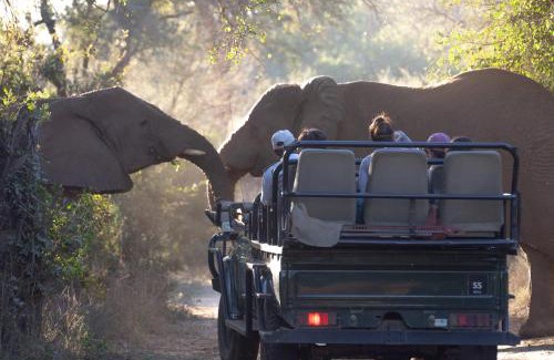 Maruleng Other | Karongwe - Chisomo Safari Camp