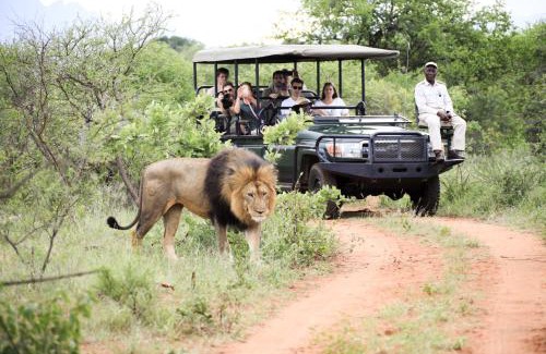 Maruleng Other | Karongwe - Chisomo Safari Camp
