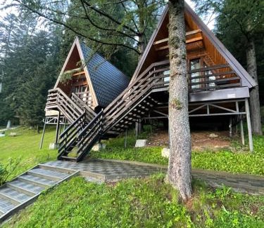 Staryava Cabin | Karpatskyy
