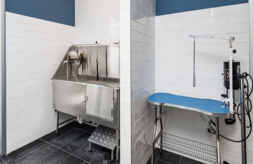 Paw Creek Apartment | Kasa Northlake Charlotte