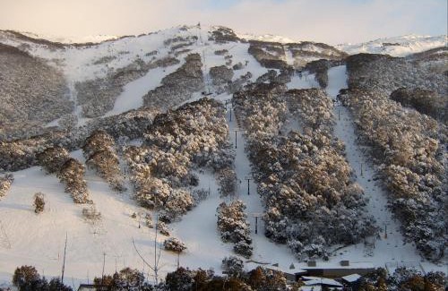 Thredbo Cabin | Kasees Apartments & Mountain Lodge