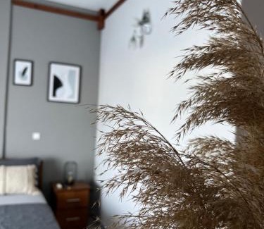 Skala Potamias Apartment | Kastalia Studios And APARTMENTS
