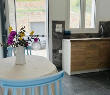 Lipsoi Apartment | Katsadia Beach 1 Bedroom