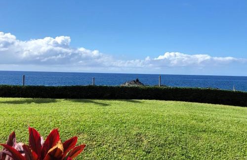 Kahaluu Bay House | Keauhou Kona Surf & Racquet Club 2103