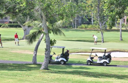Keauhou Apartment | Keauhou Palena - 2nd floor unit overlooking the golf course KP604