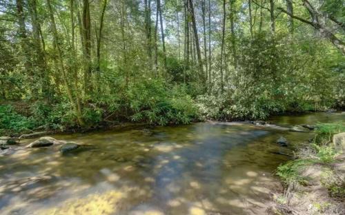 Ellijay House | Keepin it Reel