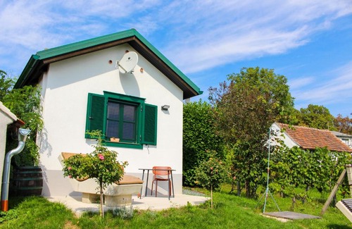 Deutsch Schuetzen-Eisenberg House | Kellerstöckl am Berg