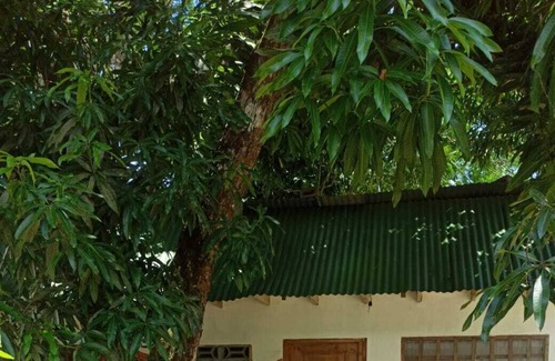 Parrita Cabin | Kensho Villages