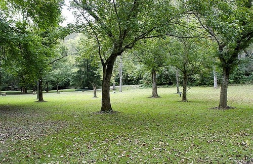 Lexington Cottage | Kentucky River Cottages ~ 1st Floor Suite ~ On The Bourbon Trail!