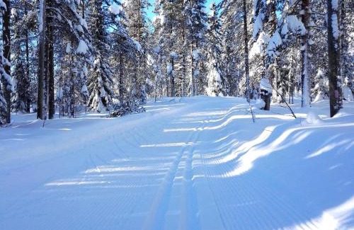 Syote Ski Chalet | Kero 15