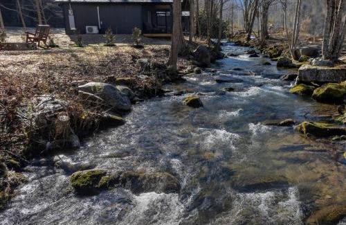 Cosby House | Kerri's Cottage-Pickleball Court, Creek, WIFI, Mountain Views, No Cleaning Fee