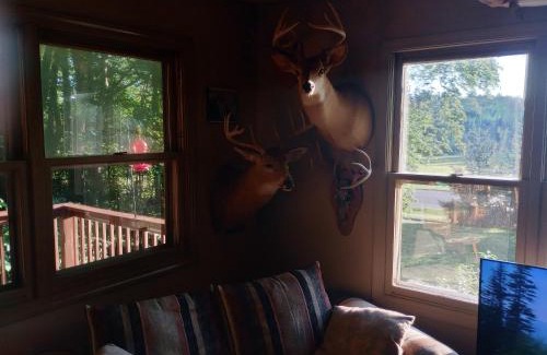 Holland Apartment | Kevins spare bedroom