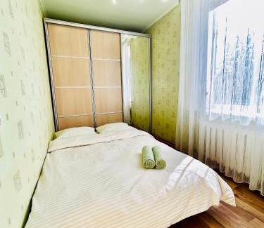 Petrovskoye Apartment | Kholodnaya gora