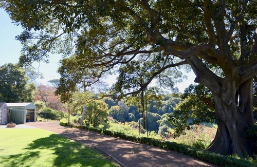 Kiama Cottage | Kiama's Secret Ocean-view Cottage