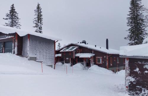 Saariselka House | Kiisa A with aurora room