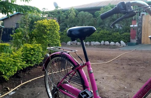 Moshi Hotel | KILIMANJARO MAD MONKEY'S HOTEL