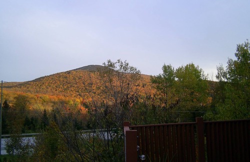 Killington Cabin | Killington/Mendon CLEAN, 2 bedroom cabin