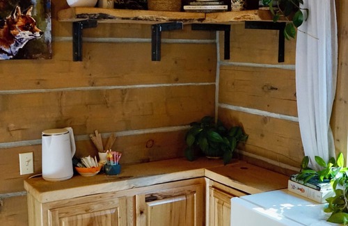 Bigfork Cabin | Kimbey's log Cabin Flathead Lake Beach Pets yes!