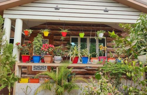 Mandvi Bed & Breakfast | Kinara Homestay