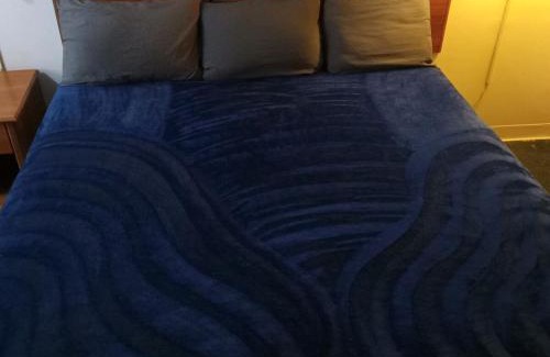 Livingston Apartment | King Bed Hotel Studio 206