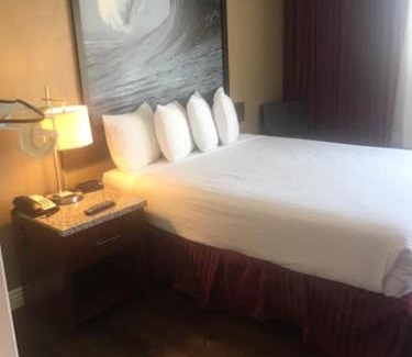 Anaheim Resort Hotel | Kings Inn Anaheim at The Park & Convention Center