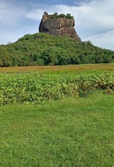 Sigiriya Hotel | Kings Village Sigiriya
