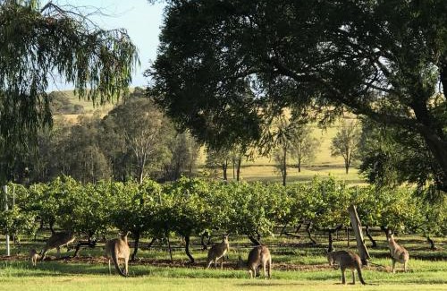 Pokolbin House | Kinloch Cottage Stunning Stay on Daisy Hill Vineyard
