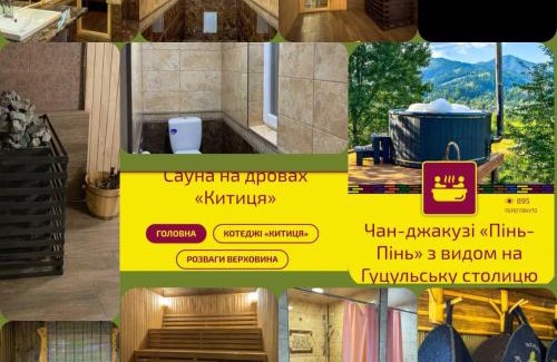 Snidavka House | Kitica house