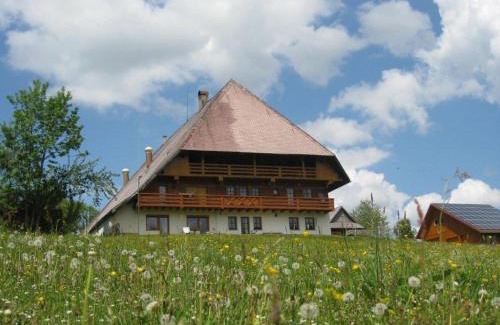 Schonach im Schwarzwald House | Klausenhof Schonach