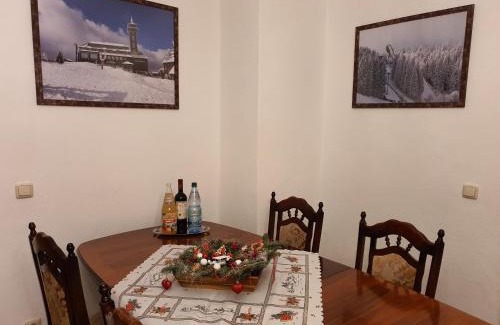 Oberwiesenthal Apartment | Kleiner Saal