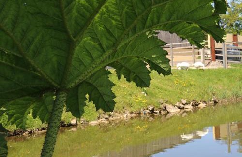 Corscombe Other | Knapp Farm Glamping Lodge 2