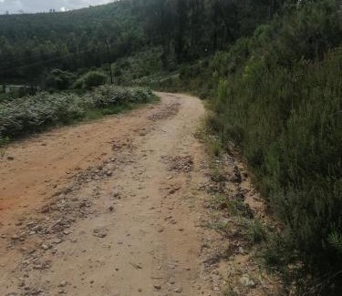 Knysna House | Knysna Tranquil 3 Bedroom Cabin