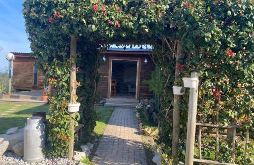 Knysna House | Knysna Tranquil 3 Bedroom Cabin