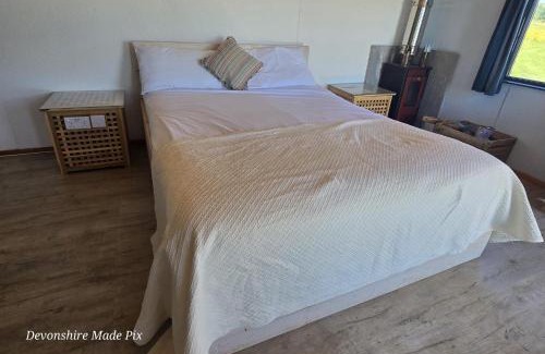 Bude Apartment | Koa Tree Geodesic Dome